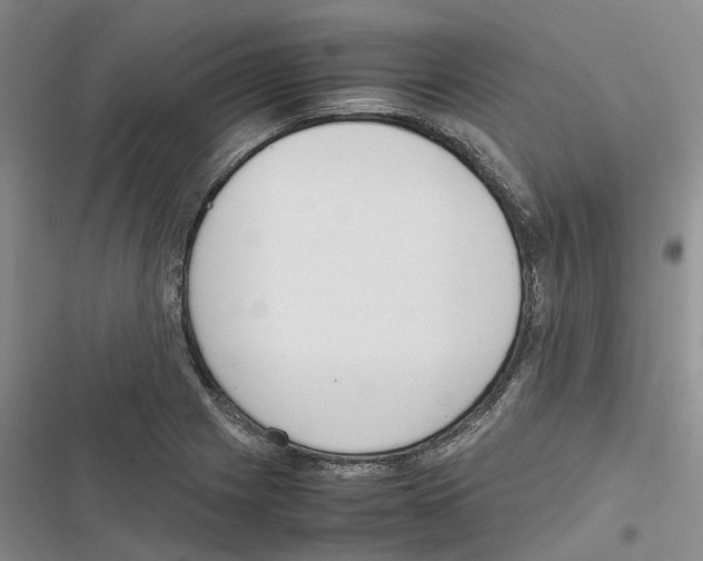 X0000116821225201001151158