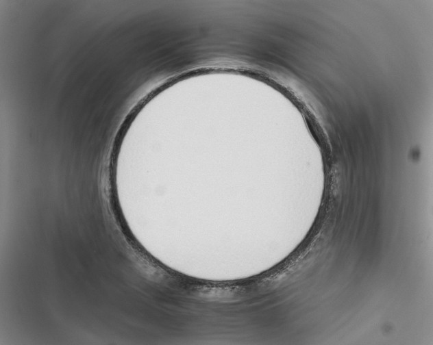 X0000116821229201001151158