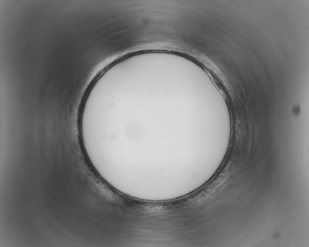 X0000116821230201001151158