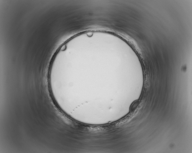 X0000116821231201001151158