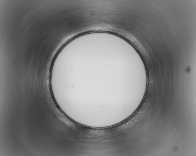 X0000116821232201001151158