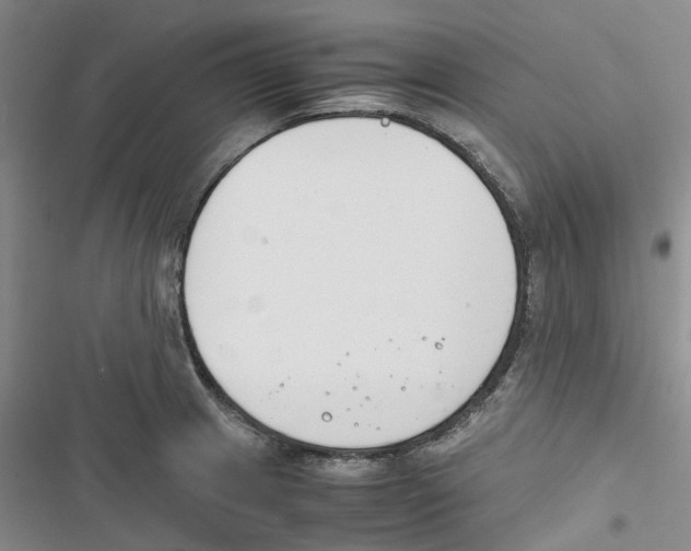 X0000116821233201001151158