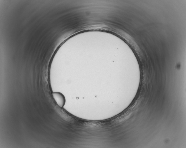 X0000116821234201001151158