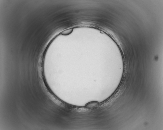 X0000116821235201001151158