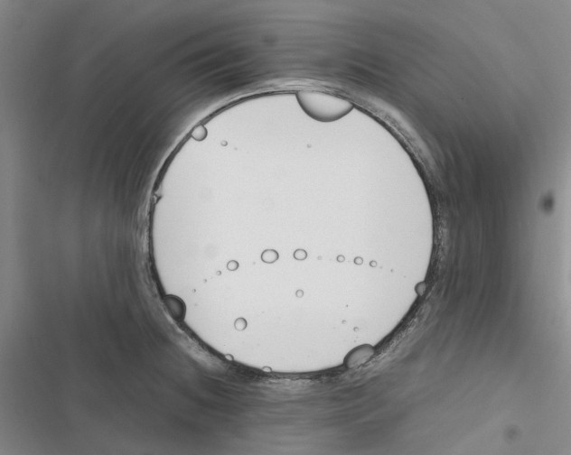 X0000116821236201001151158