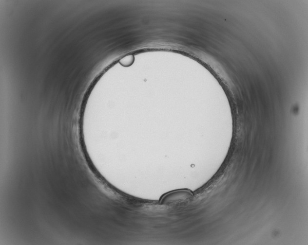 X0000116821237201001151158