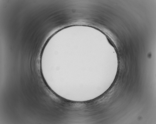 X0000116821238201001151158