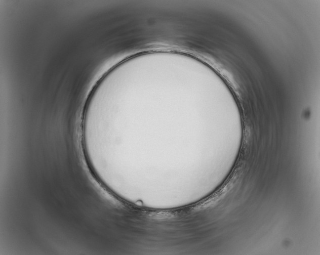 X0000116821239201001151158