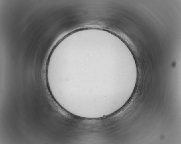 X0000116821240201001151158