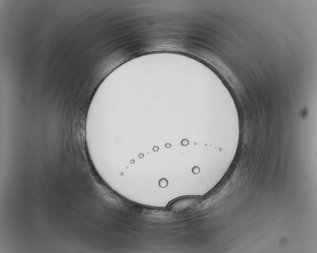 X0000116821241201001151158