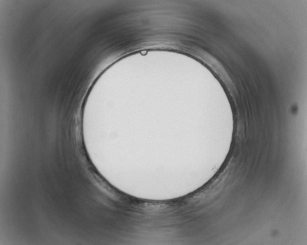 X0000116821242201001151158