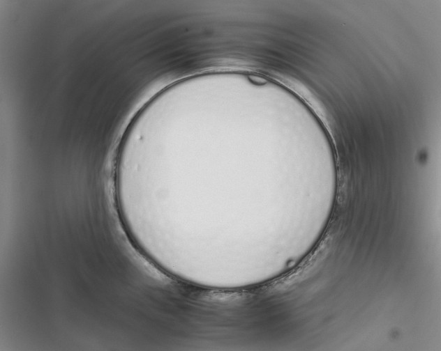 X0000116821243201001151158