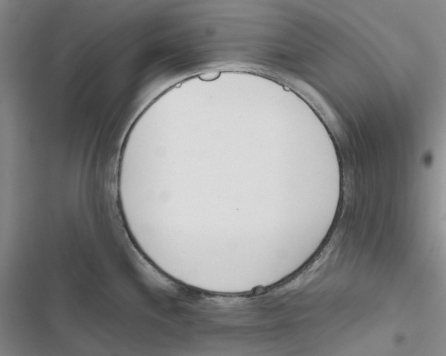 X0000116821244201001151158