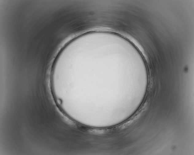 X0000116821245201001151158