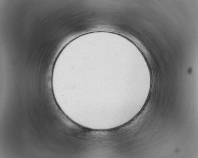 X0000116821246201001151158