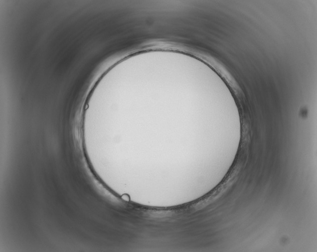 X0000116821247201001151158