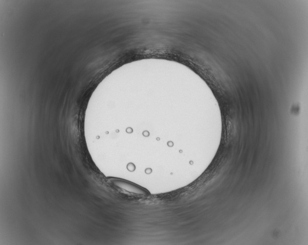 X0000116821250201001151158