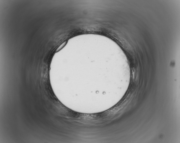 X0000116821251201001151158