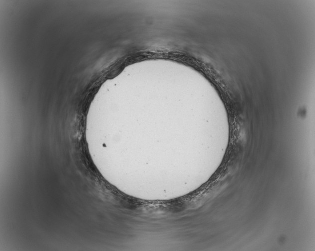 X0000116821253201001151158