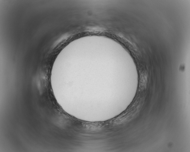 X0000116821254201001151158