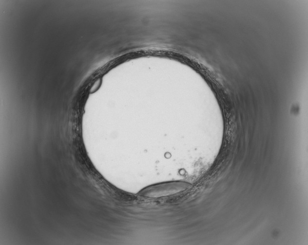 X0000116821255201001151158