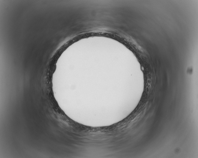 X0000116821256201001151158