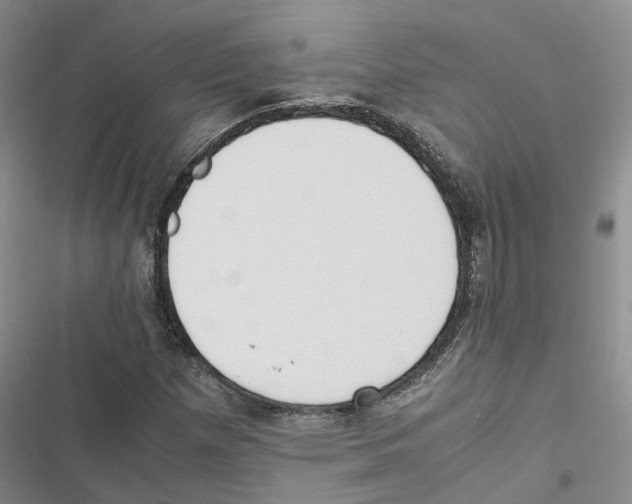 X0000116821257201001151157