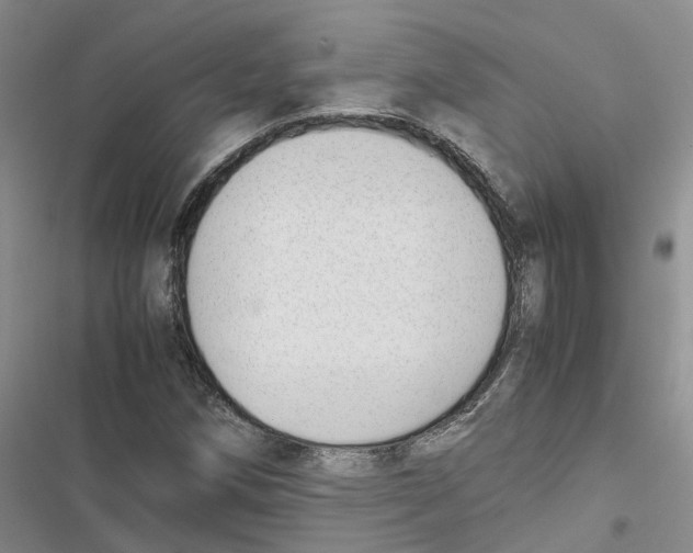 X0000116821258201001151157