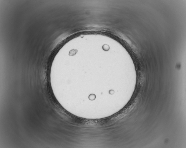 X0000116821259201001151157