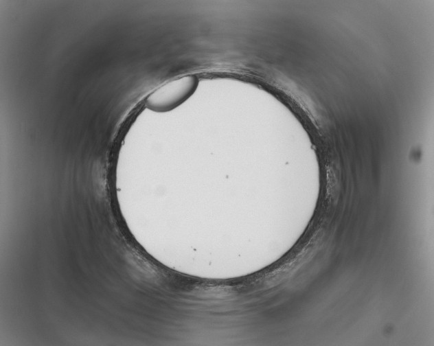 X0000116821260201001151157