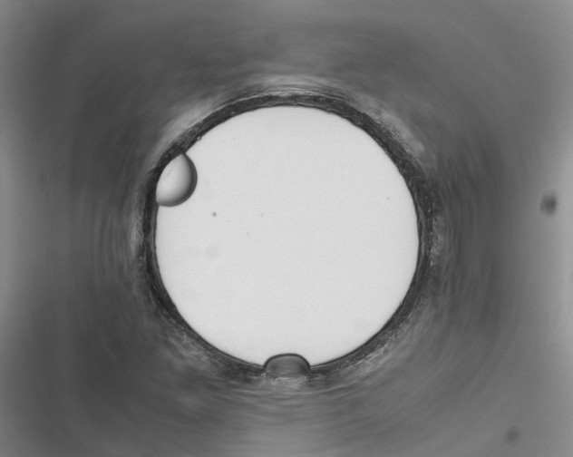 X0000116821261201001151157