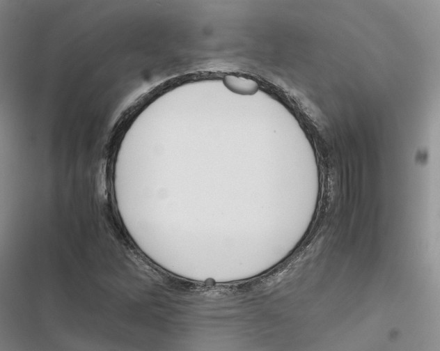 X0000116821262201001151157