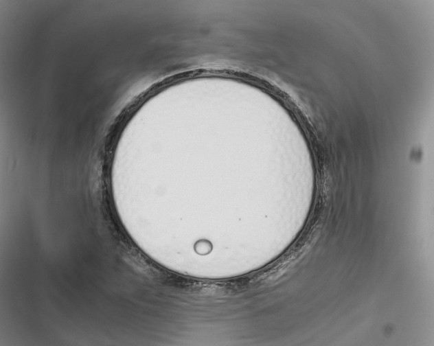 X0000116821263201001151157