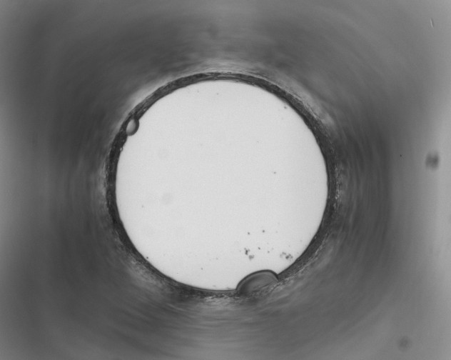 X0000116821264201001151157