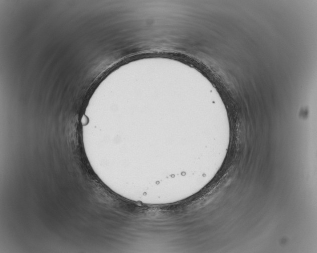 X0000116821265201001151157