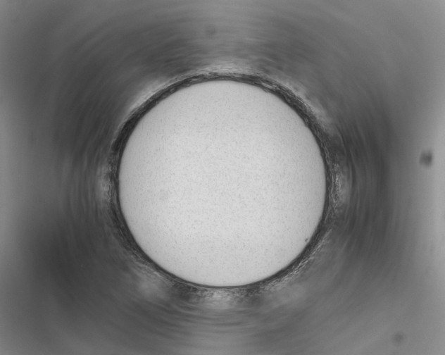 X0000116821266201001151157