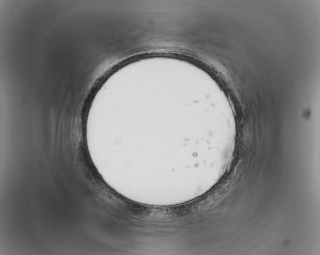 X0000116821267201001151157