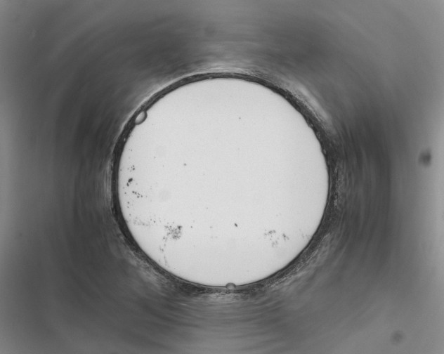 X0000116821268201001151157