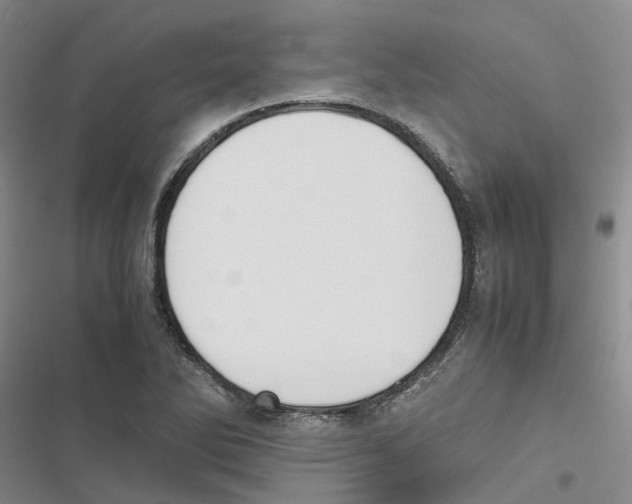 X0000116821270201001151157