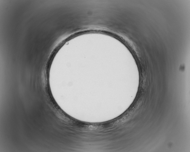 X0000116821271201001151157