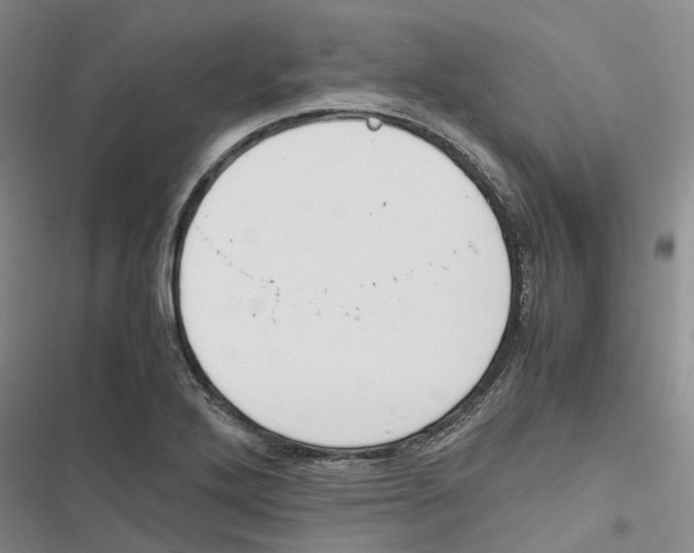 X0000116821272201001151157