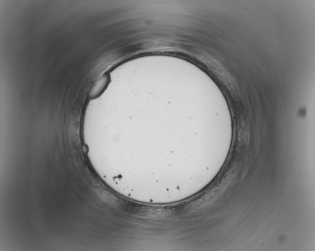 X0000116821273201001151157