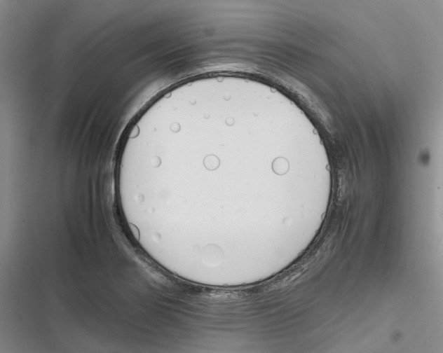 X0000116821274201001151157