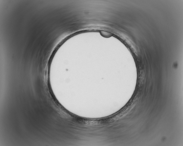 X0000116821275201001151157