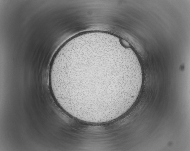 X0000116821276201001151157