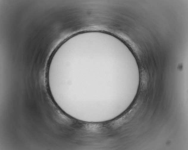 X0000116821278201001151157