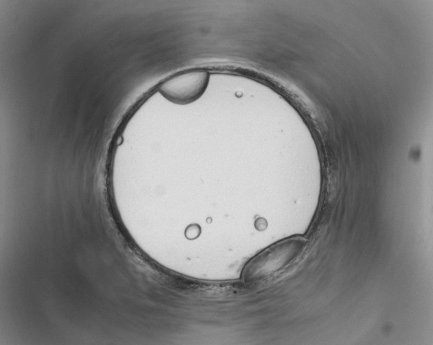 X0000116821279201001151157