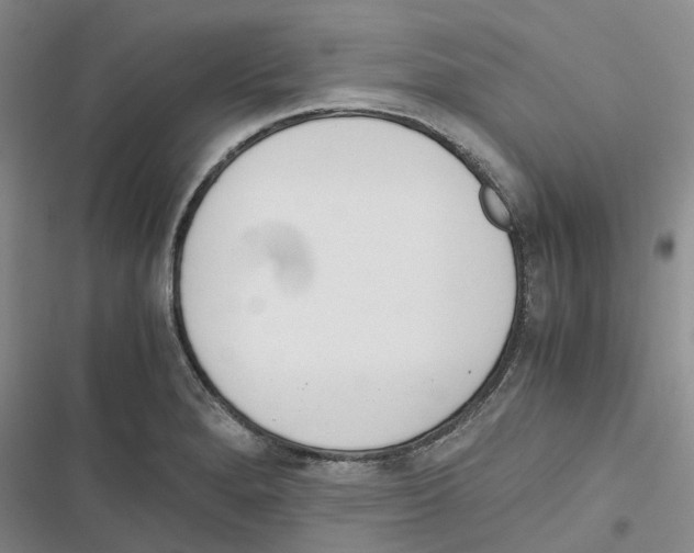 X0000116821280201001151157