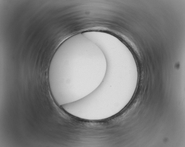 X0000116821281201001151157