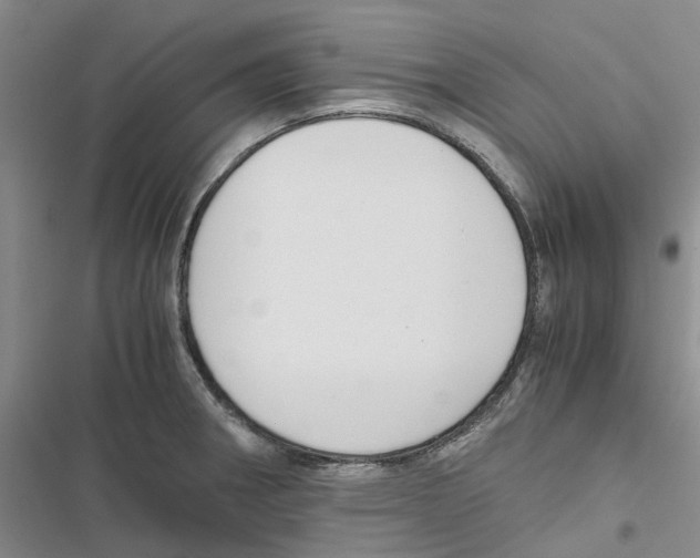 X0000116821282201001151157